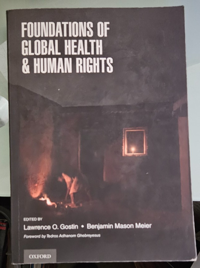 lawrence o gostin FOUNDATIONS OF GLOBAL HEALTH & HUMAN RIGHTS softcover
