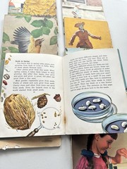 Glenn Blough 1950’s Paperback Children’s Books Set Of 9 FRAGILE