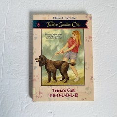 Twelve Candles Club Books 1-5 Set Elaine Schulte 1990s Christian Fiction Lot