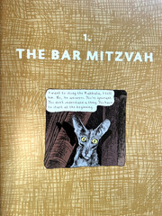 The Rabbi’s Cat graphic novel (2005 1st American paperback edition, SC) Like New