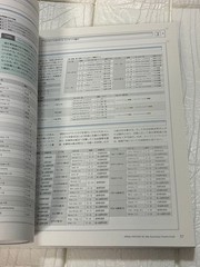 Final Fantasy XI Guide 2013 Weapons & Armor Navigation Game Strategy 8.27 x 11 i
