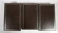 Die Hauptmannstochte, Die Toten Seelen, Weltbilt Bucher-Dienst German Book Lot 3