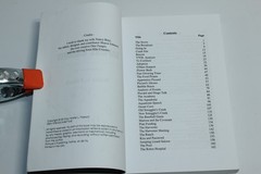 Sapiens’ Shadow by Walter Palesch (2013) SIGNED