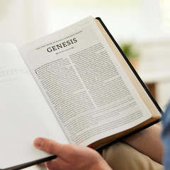 RSV2CE, Thinline Large Print Catholic Bible, Brown Leathersoft, Comfort Print