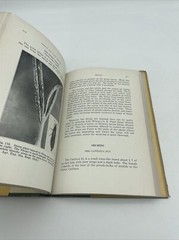 Insects And Their Control By Andrew Wilson 2nd Printing 1931 Horticulture Nature