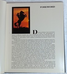 The Andalusian: A Portrait (Robert Vavra • 1st/1st • 1991 • Signed & Inscribed)