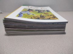 Scott Foresman Reading Street Grade 4 Lot of 22 Science, Social Studies, Reading