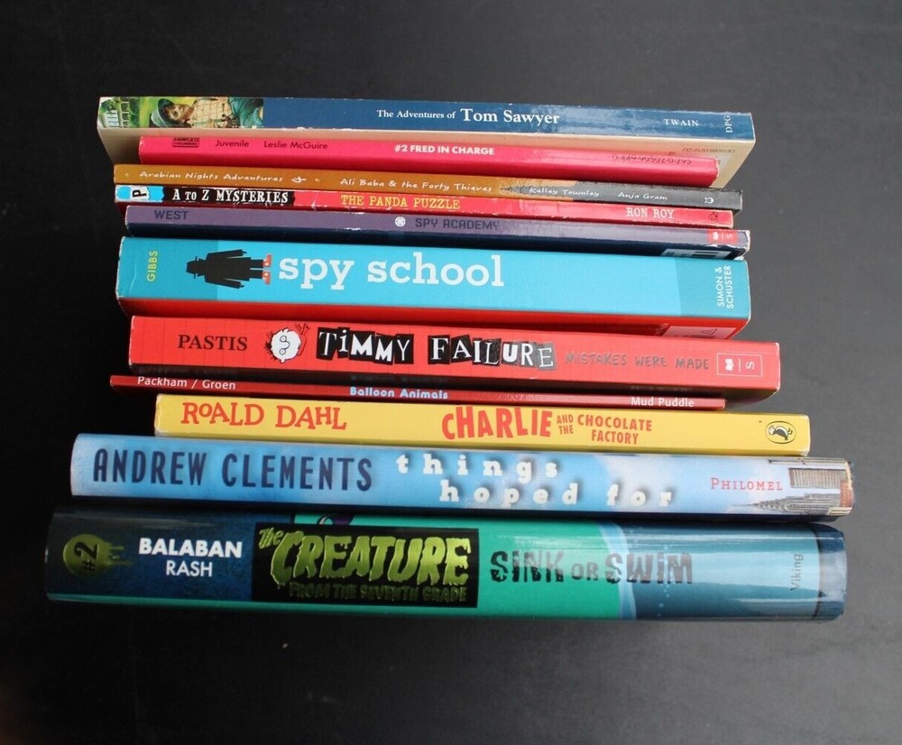 Chapter Book Lot for Boys Kids Elementary Middle School Level 11 pc