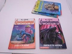 LOT OF 30: Vintage 90s RL Stine GOOSEBUMPS Books VG/EX All Different + Extras