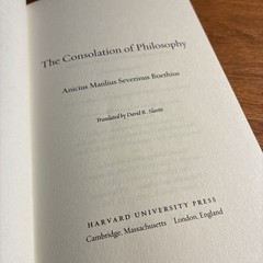 The Consolation of Philosophy by Boethius: David Slavitt Paperback 175 Pages