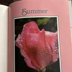 First Edition: COLOR The Essence of You Suzanne Caygill