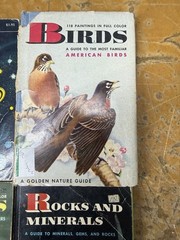 Golden Guide Nature Books Lot of 7 Birds Stars Fossils Rocks Shells Flowers