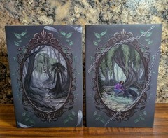 The Chaos Cycle Duology by A. J Vrana: Hollow Gods & Echoed Realm Signed Luna