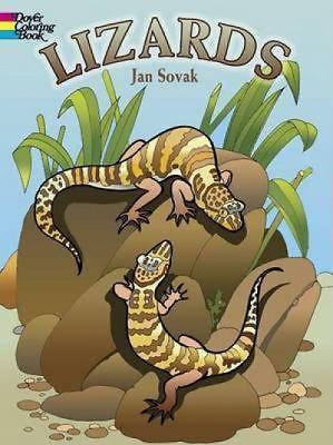 Lizards Coloring Book by Sovak, Jan