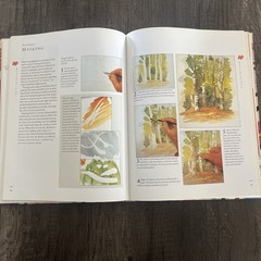 DRAWING & PAINTING ART INSTRUCTION BOOK LOT HB + PB 704 PAGES