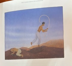 Francis Alÿs The Prophet and the Fly Text by Catherine Lampert
