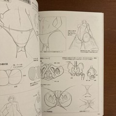 How to Draw a Girl’s Body: Character Bones and Flesh Art Book Illustration