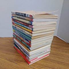 Lot of 20 Chapter Books for 4th Grade Boys & Girls Classroom RL4, AR