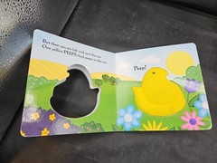 SPRING PEEPS! By Cindy Eng & Salina Yoon