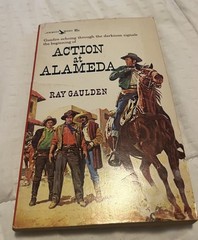 Lot Of 10 Vintage Western Paperback Books (See Photos For Titles) S15