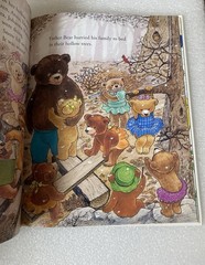 The Fourteen Bears in Summer and Winter By E. Scott-First Golden Classic Edition