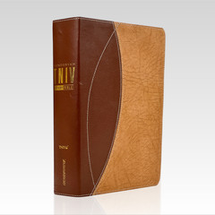2006 TNIV Study Bible. European Leather HC VG