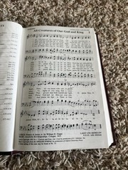⛪️ Lot of 15 Sing His Praise 1991 Gospel Publishing House Christian Hymnal Hymn