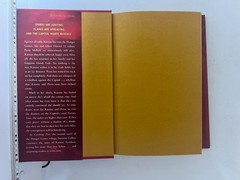 Catching Fire & Mockingjay (NEW / 1st Eds.)—Suzanne Collins