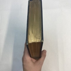 Rise of Poetry in America National Sentiment Emerson Poe Poets of America 1899