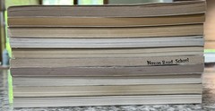 Lot 10 Kate DiCamillo The Tiger Rising Guided Reading Teacher Class Set