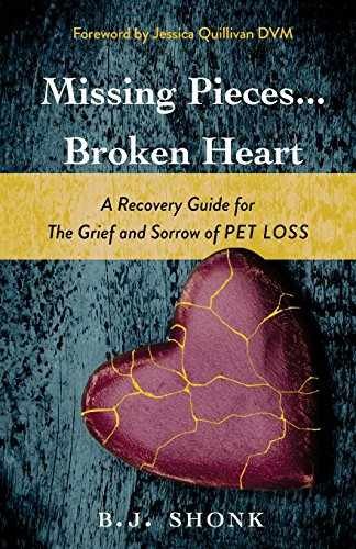 Missing Pieces…Broken Heart: A – Paperback, by Shonk B. J. – Very Good