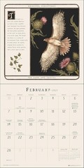 Jessica Roux Woodland Wardens 2027 Wall Calenda (Paperback) (PRESALE 08/11/2026)