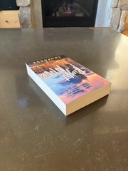 The Right Move | Windy City Series | Liz Tomforde | Sports Romance book