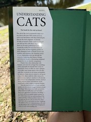 Understanding Cats: Their History, Nature, and Behavior by Tabor, Roger HB DJ