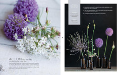 The Flower Recipe Book: 100 Magical, Sculptural, Seasonal Arrangements (The Flow