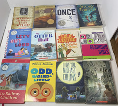 Girls Chapter Book Lot 29 Mango Street Chasing Vermeer Jellyfish Mixed Set