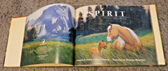 SPIRIT: STALLION ON THE CIMARRON (PICTURE BOOK) (DREAMWORKS… David Clement-dav