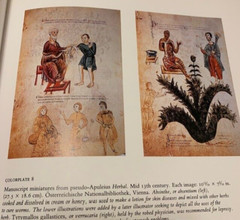Art Literature Book Large Decor Illustrated Beaux Arts VTG Medicine Treasury MCM