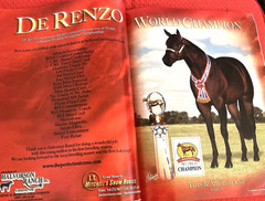 SALE ENDS 6/15! 2008 Quarter Horse Journal STALLION EDITION Book, PEPTOBOONSMAL