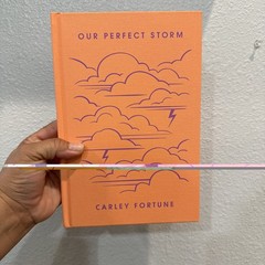 Our Perfect Storm (Target Exclusive) By Carley Fortune