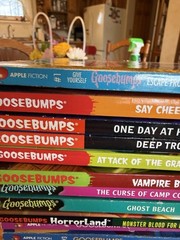 Give Yourself Apple Fiction Scholastic Goosebumps RL Stine Lot 25