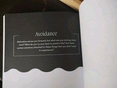 THE SHADOW WORK JOURNAL Guide Integrate & Transcend Your Shadows Self Help Book