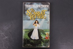 The Scarlet Letter Nathaniel Hawthorne 1987 Edition Classic American Lit Adde PB