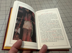 The New Sins Los Nuevos Pecados David Byrne Hardcover VG!