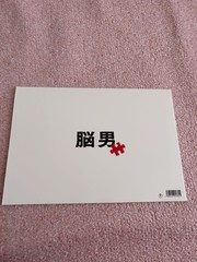 Movie Brain Man Pamphlet Official Film Brochure Japan Cast Photos Sci-Fi 目立たず