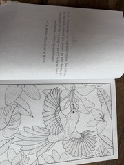 COLORFUL ESCAPES – The Colors of Summer! Vol. 25 – Adult Coloring Book- 31 Pages