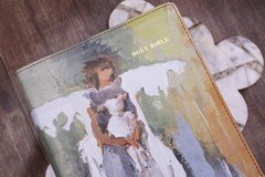 NRSVue, Holy Bible, Anne Neilson Angel Art Series, Leathersoft, Multi-Color,…