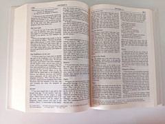 The Parenting Bible NIV Christian Values for Today’s Family 1994 Zondervan HB