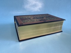 Holy Bible King James Version Gustave Dore Illustrated Leather Bound KJV Barnes