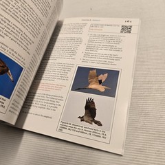 Tony Northrup’s DSLR Book: How to Create Stunning Digital Photography Guide